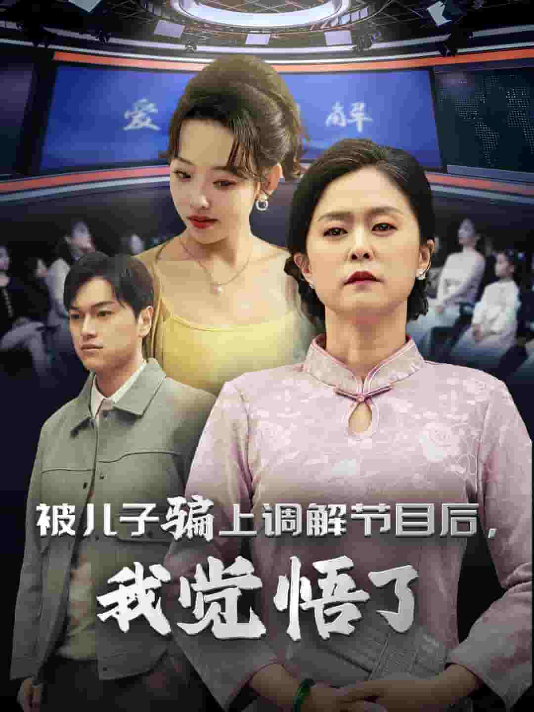 被儿子骗上调解节目后我觉悟了海报