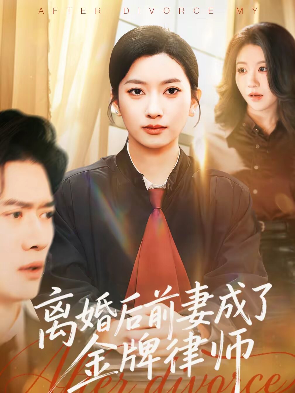 离婚后前妻成了金牌律师海报