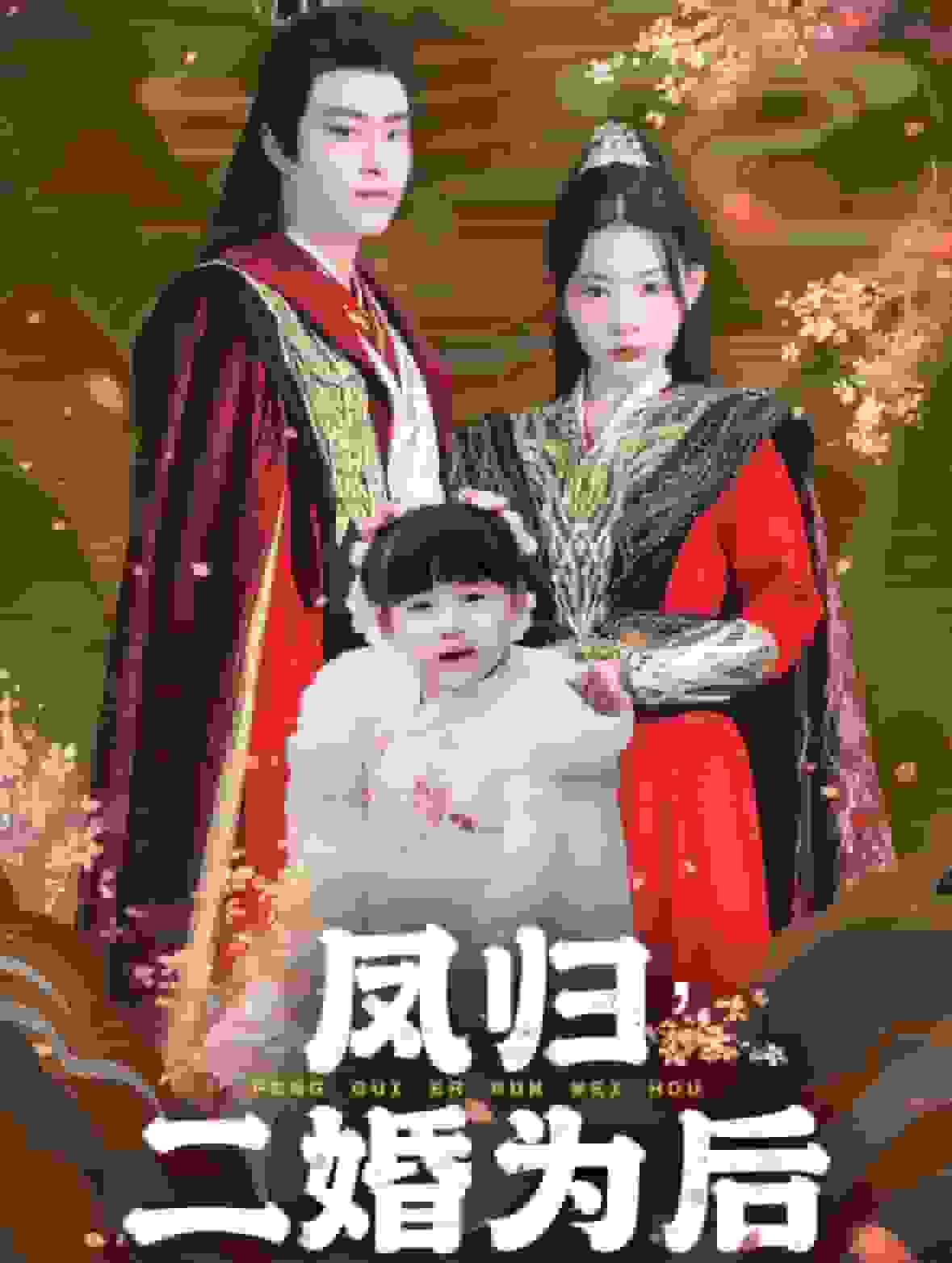 凤归二婚为后海报