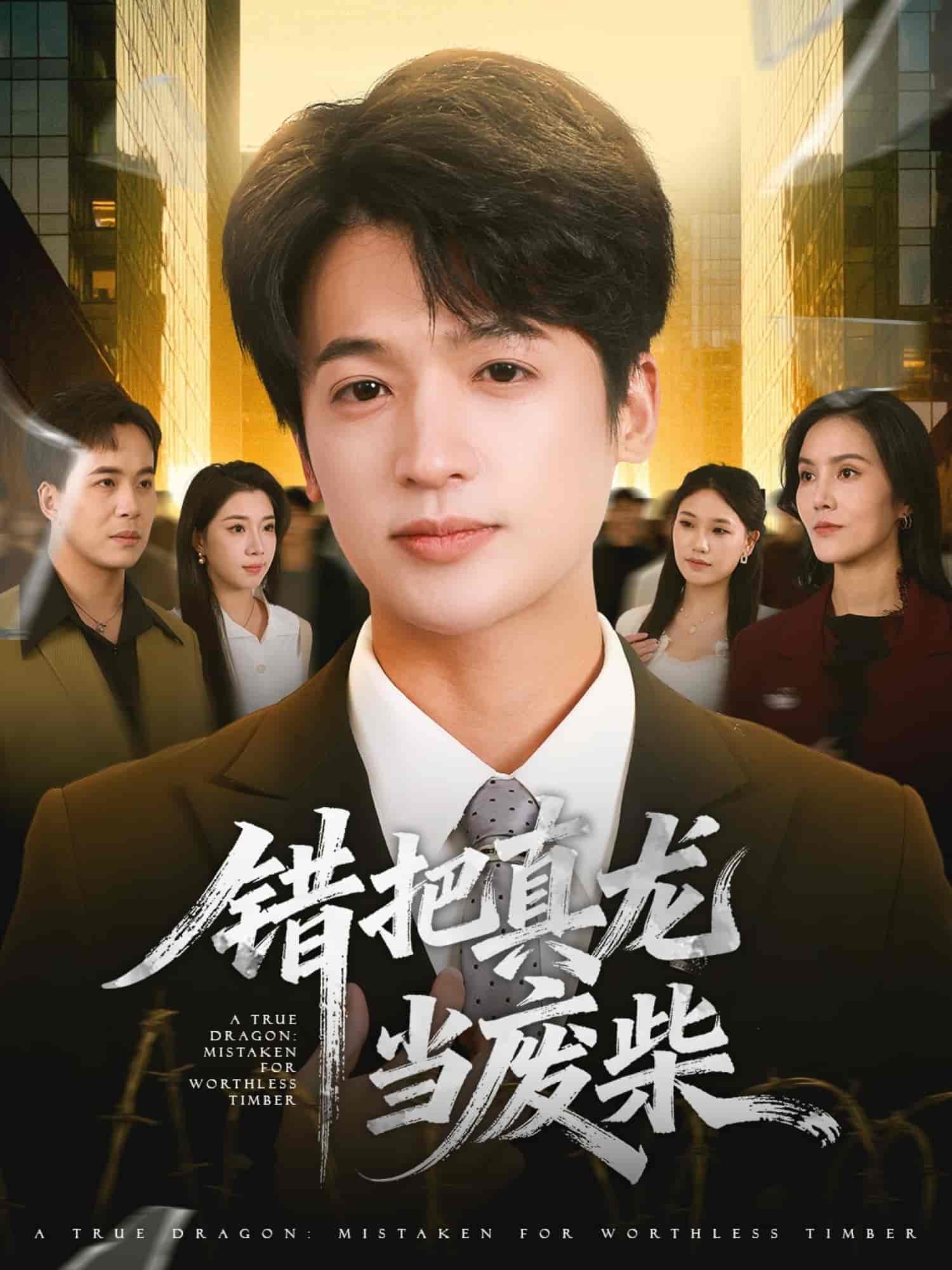 错把真龙当废柴海报