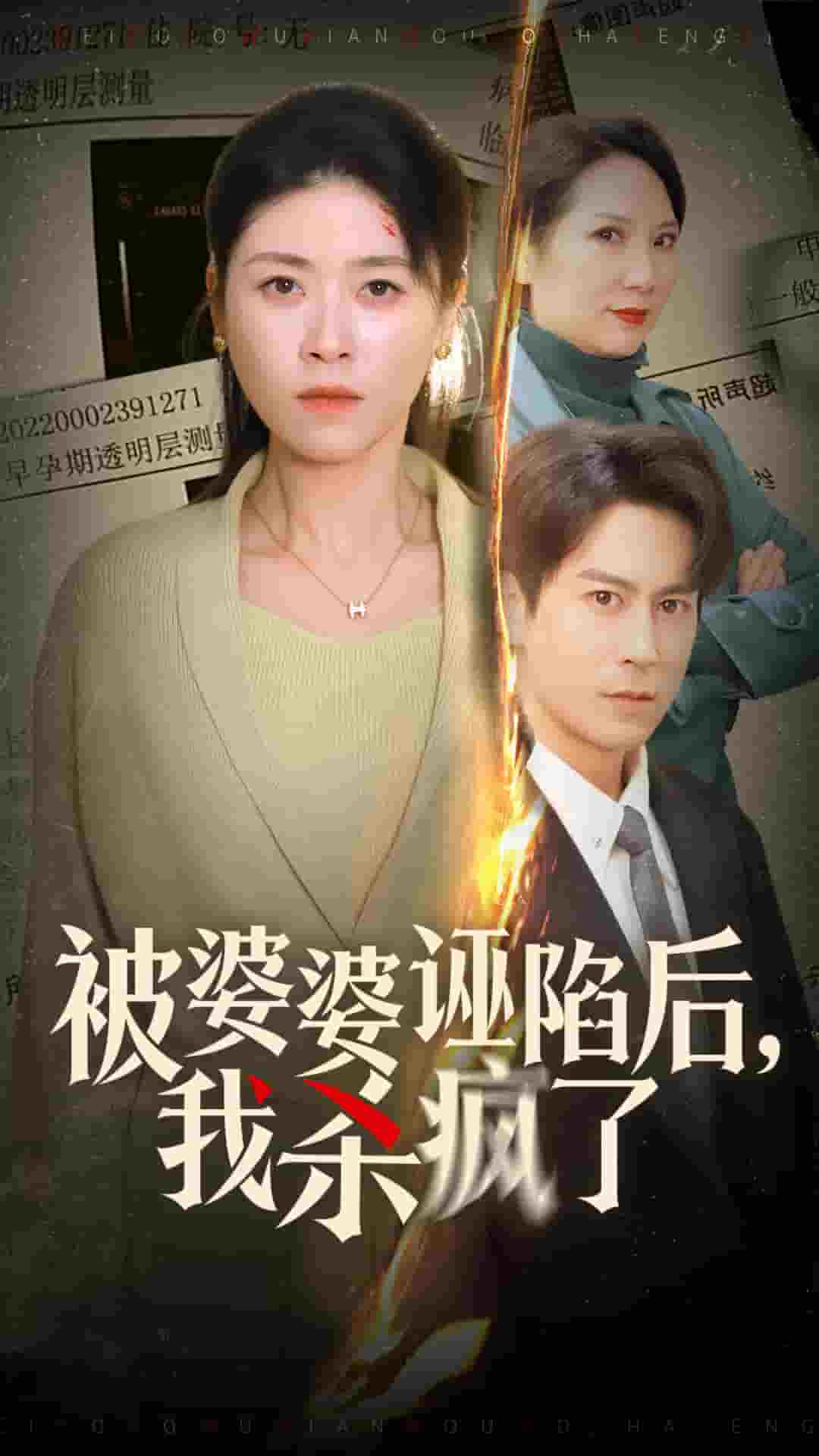 被婆婆诬陷后我杀疯了海报