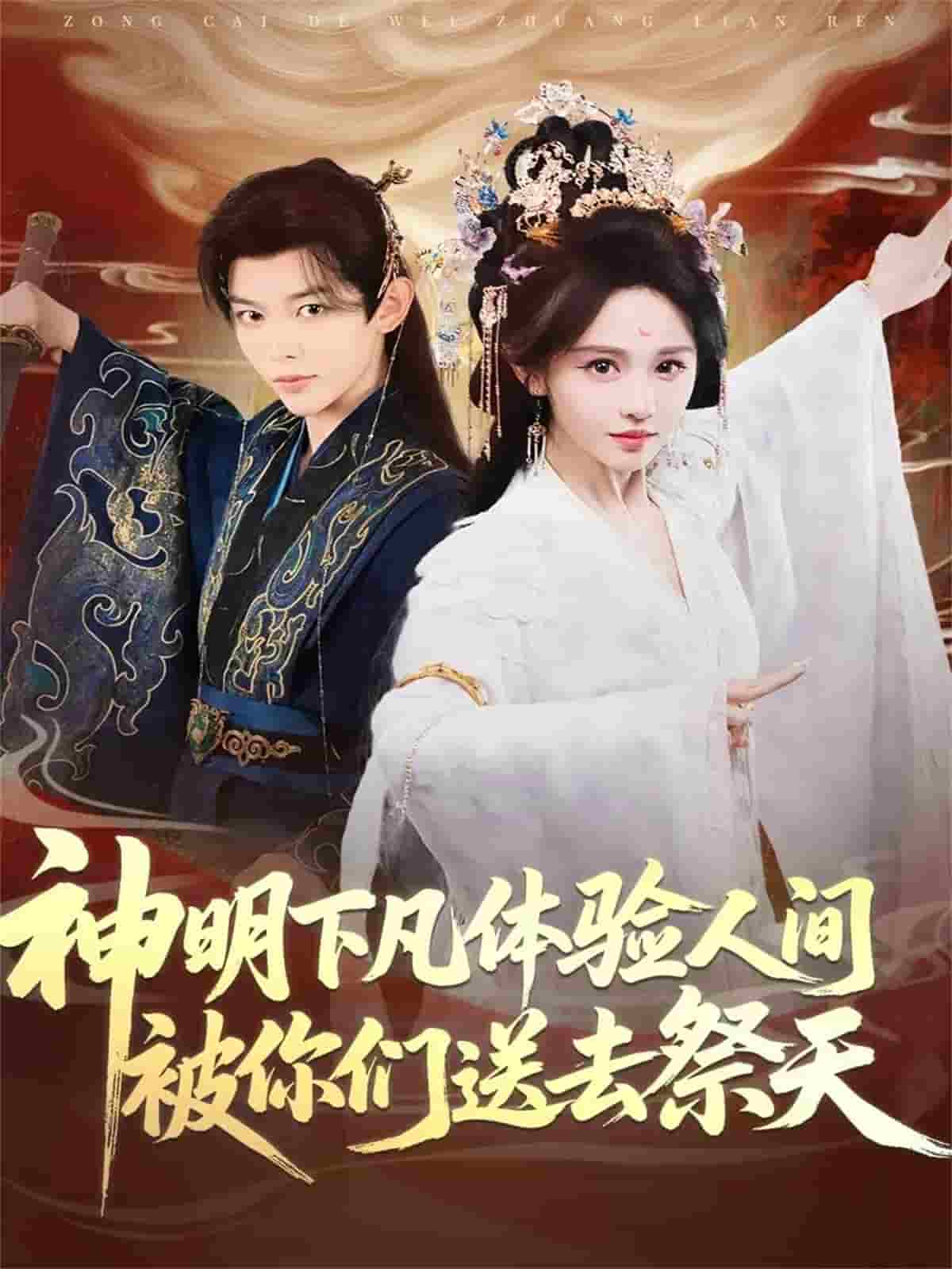 神明下凡体验人间被你们送去祭天海报