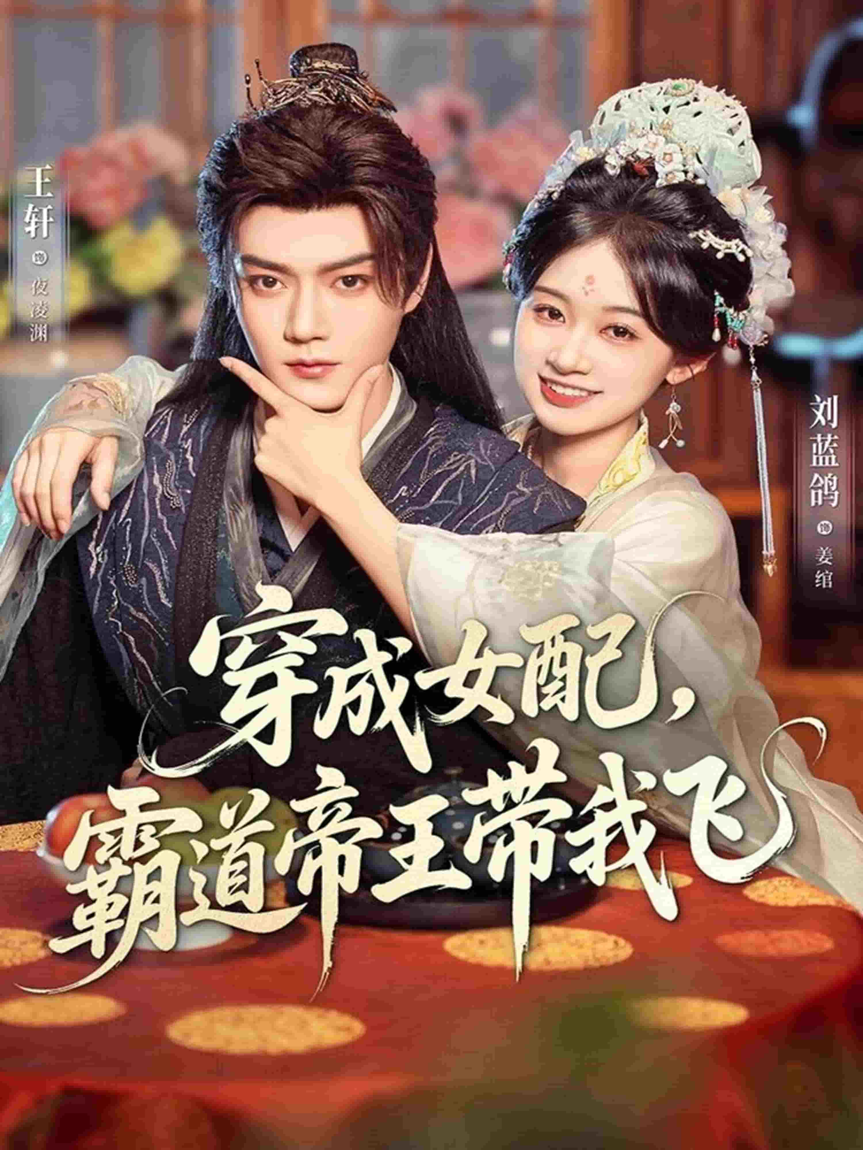 穿成女配，霸道帝王带我飞海报