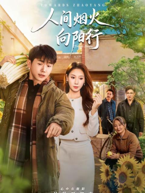 人间烟火向阳行海报