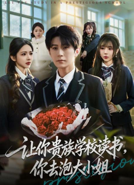 让你贵族学校读书，你去泡大小姐海报