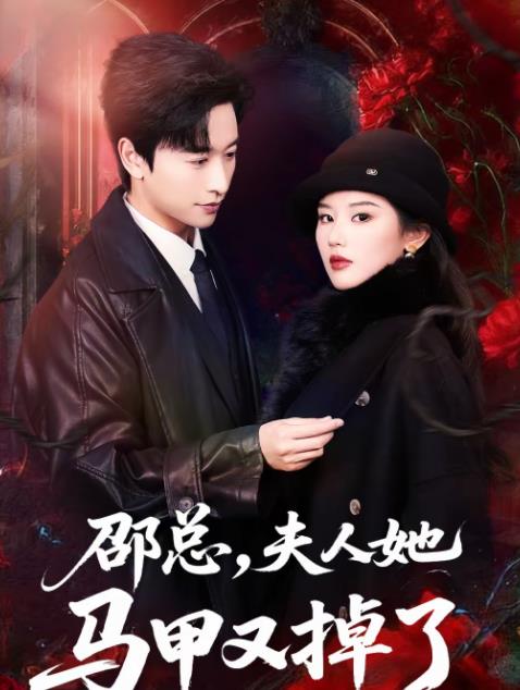 邵总，夫人她马甲又掉了海报