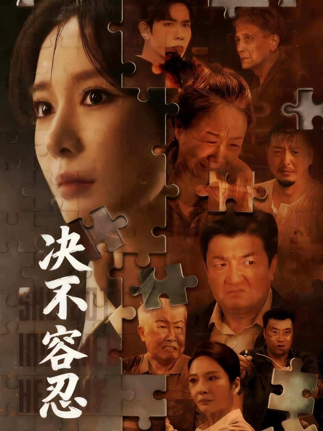 以身入局的她海报