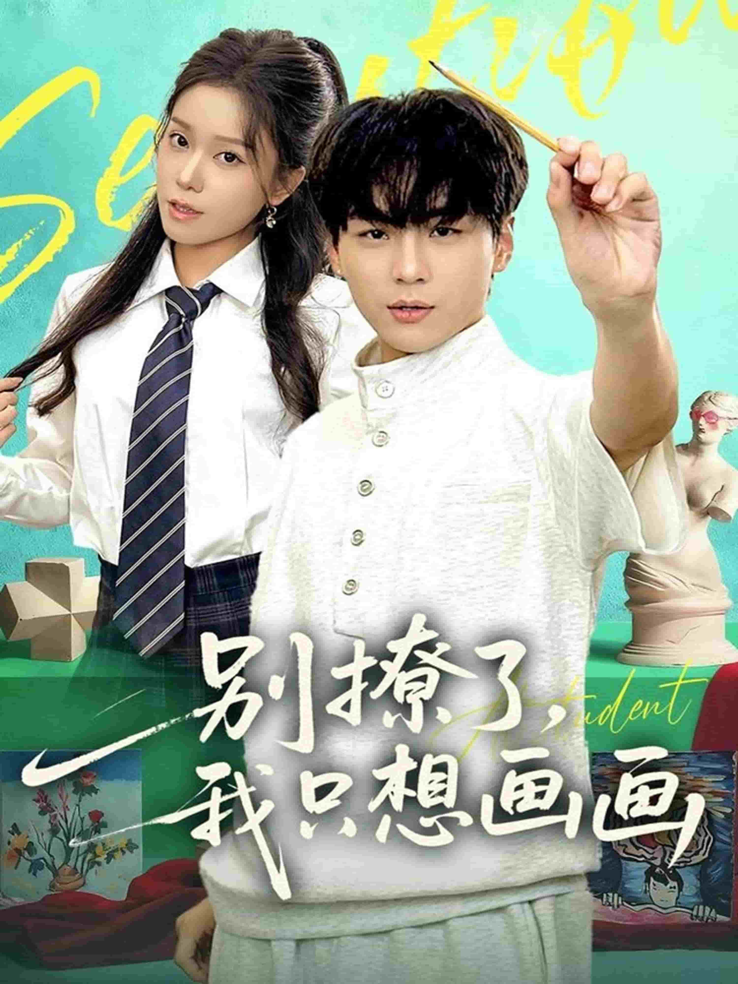 别撩了我只想画画海报