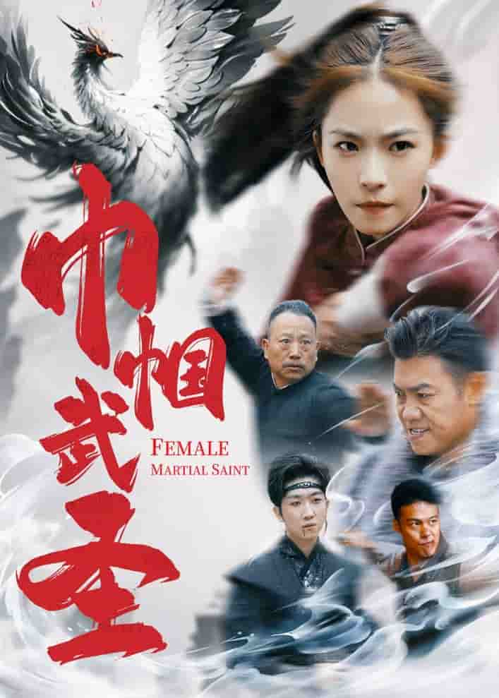 巾帼武圣海报