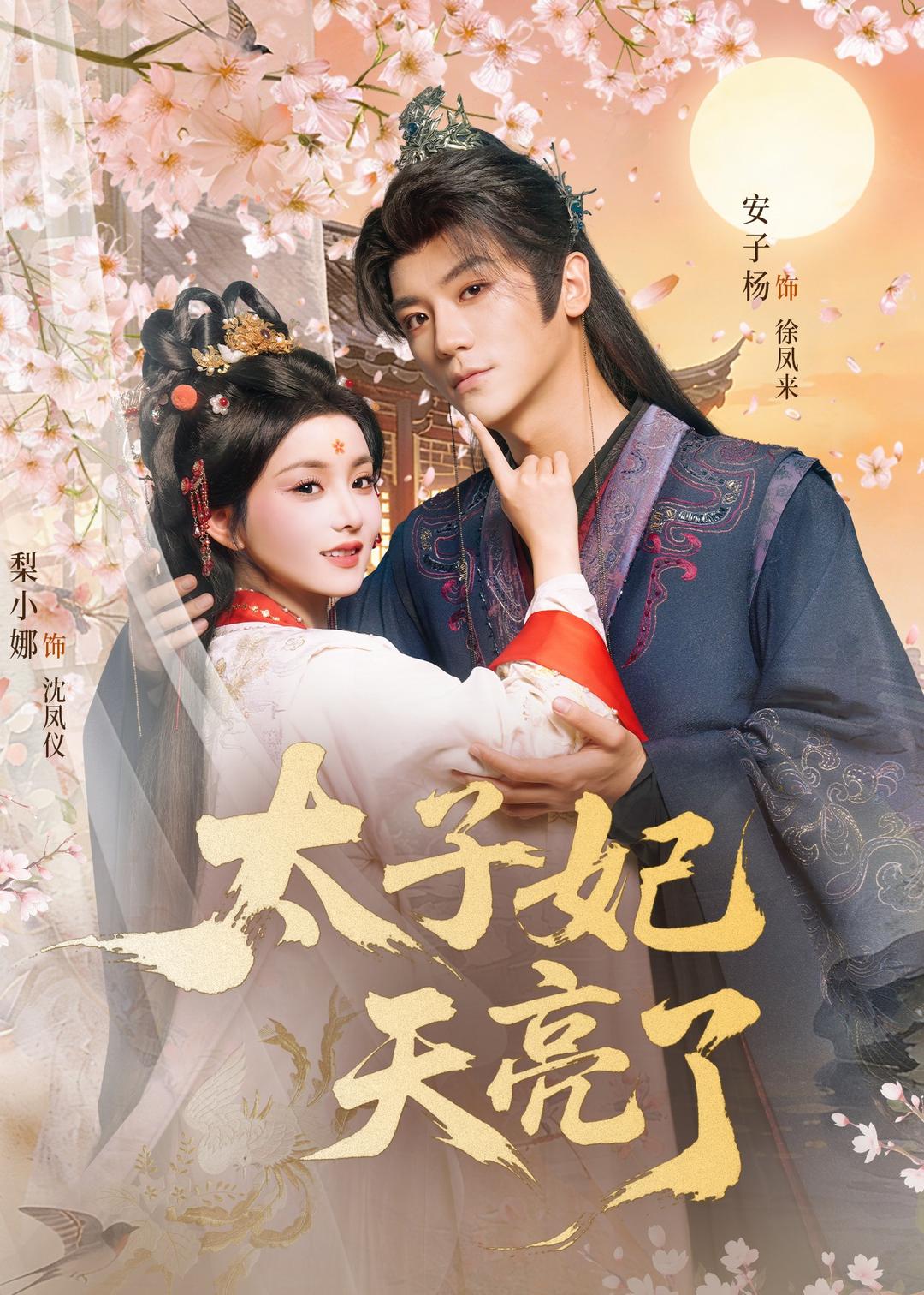 太子妃天亮了海报