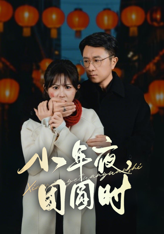 小年夜万家灯火没有我海报