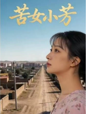 苦女小芳海报