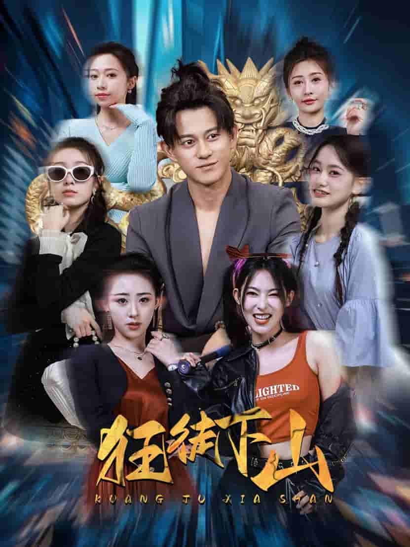 狂徒下山海报
