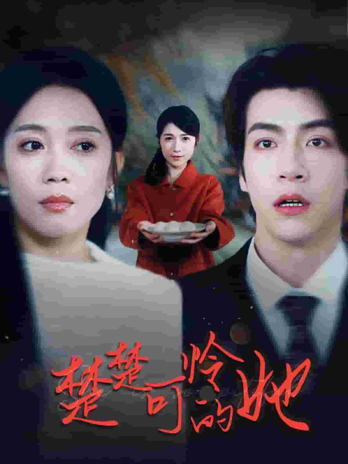 楚楚可怜的她海报