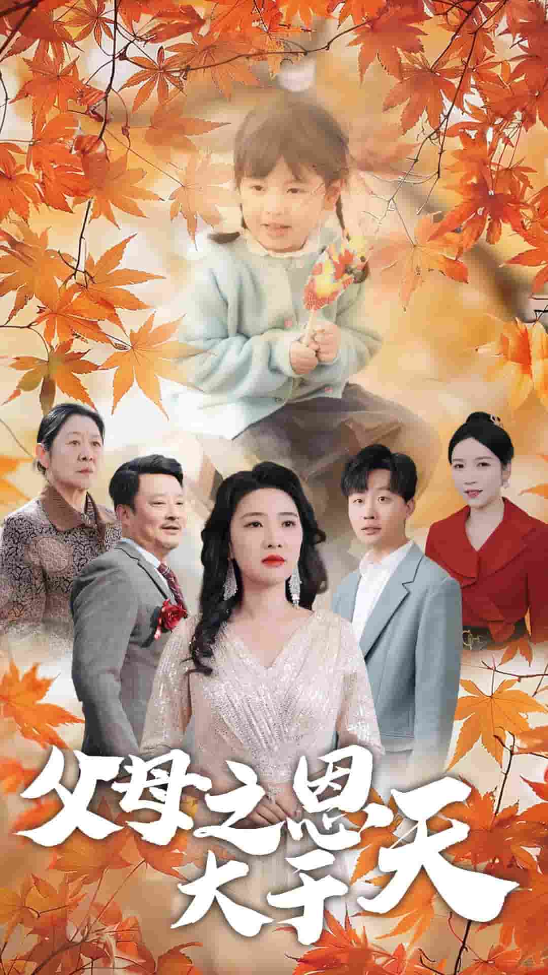 父母之恩大于天海报