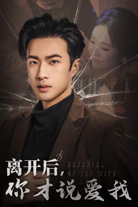 离开后，你才说爱我海报