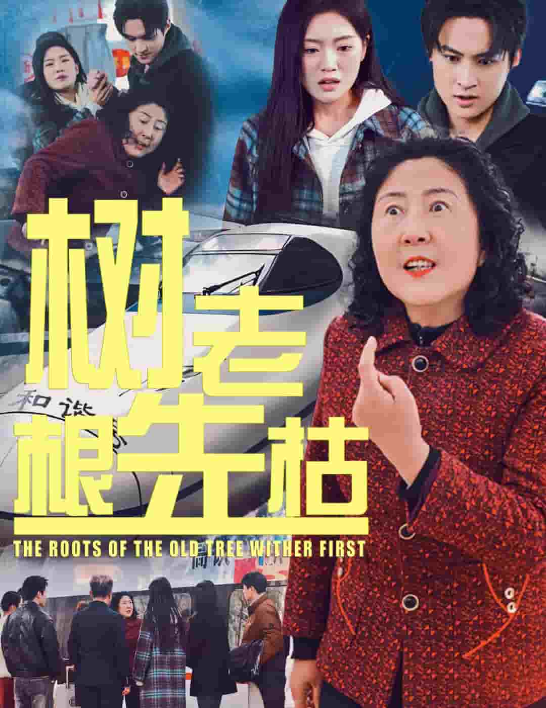 树老根先枯海报
