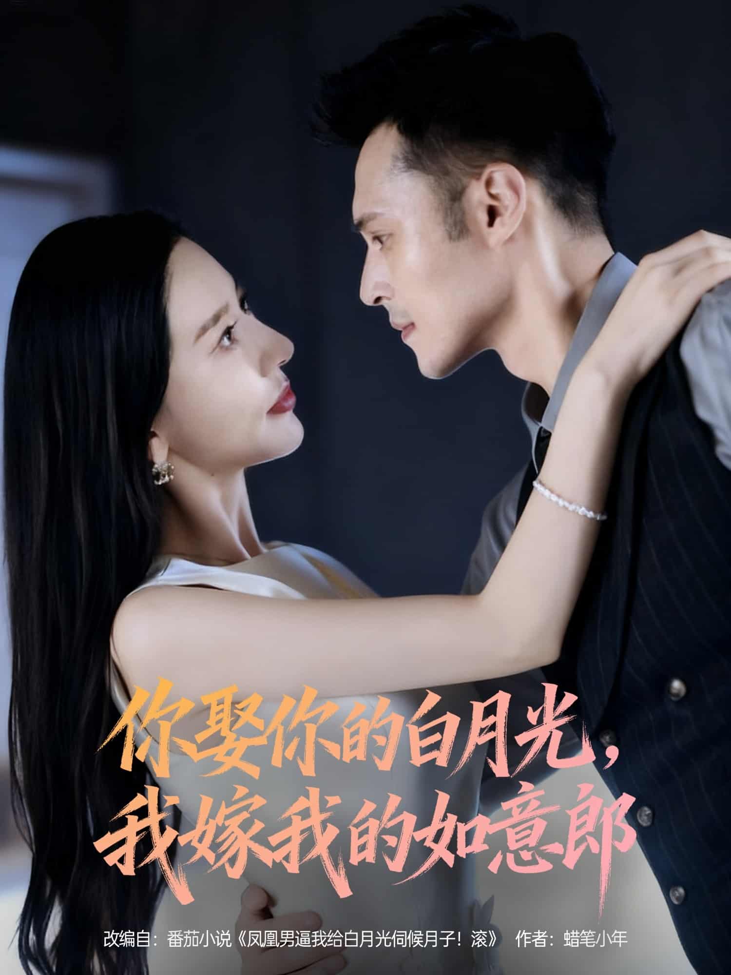 你娶你的白月光我嫁我的如意郎海报