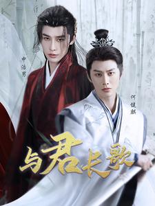 与君长歌海报