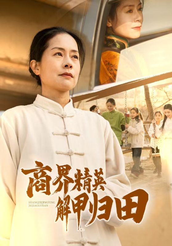 商界精英解甲归田海报