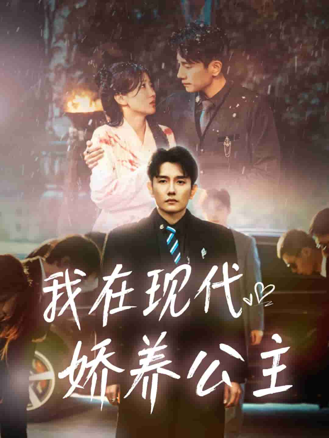 我在现代娇养公主海报