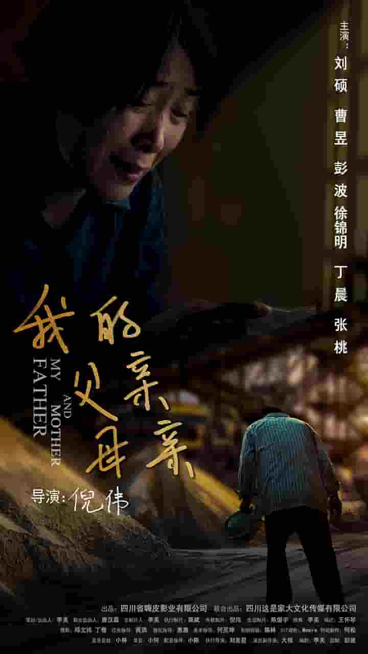 我的父亲母亲海报