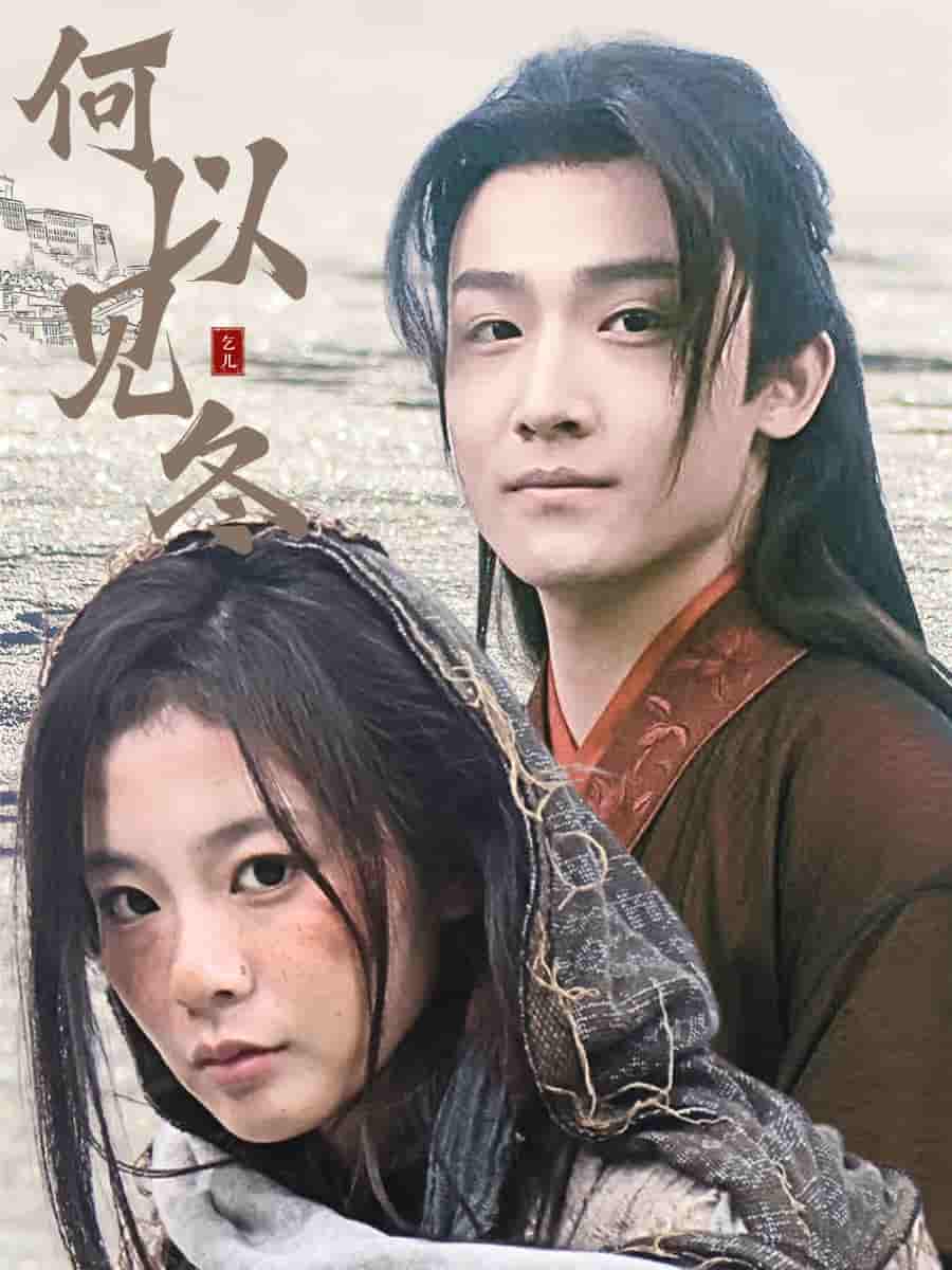 何以见冬海报