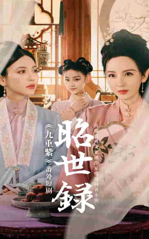 昭世录海报