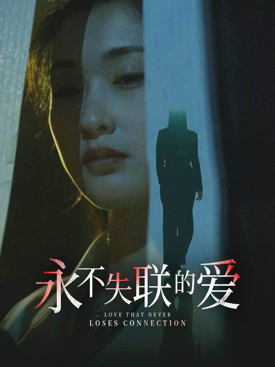 永不失联的爱海报