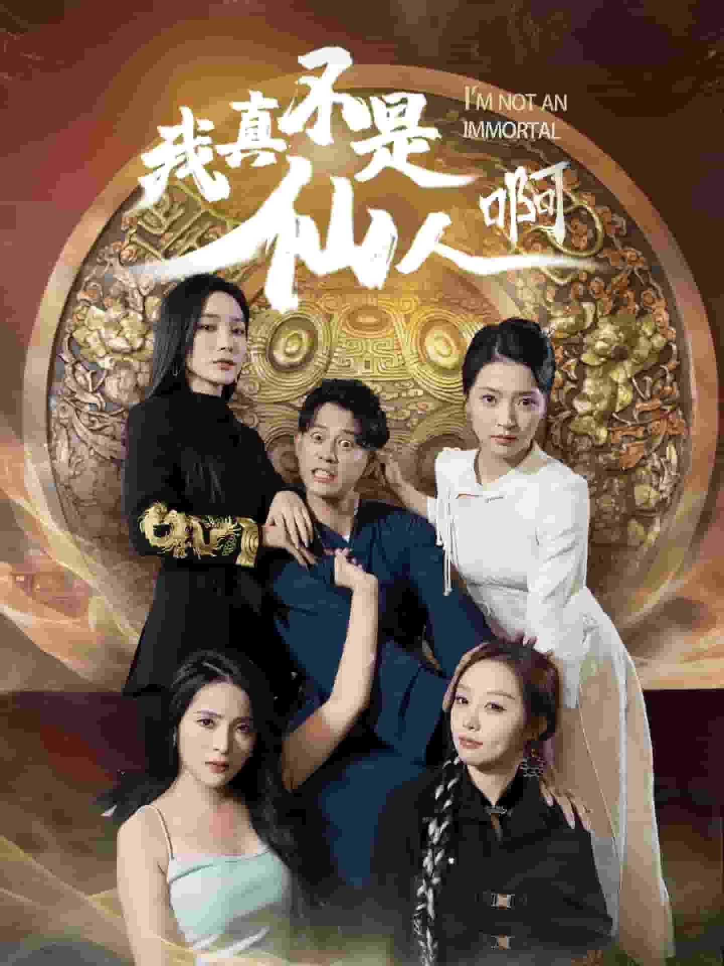 我真不是仙人啊海报