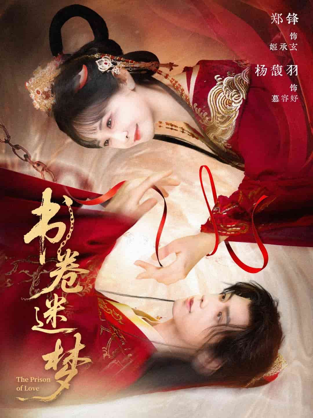 书卷迷梦海报