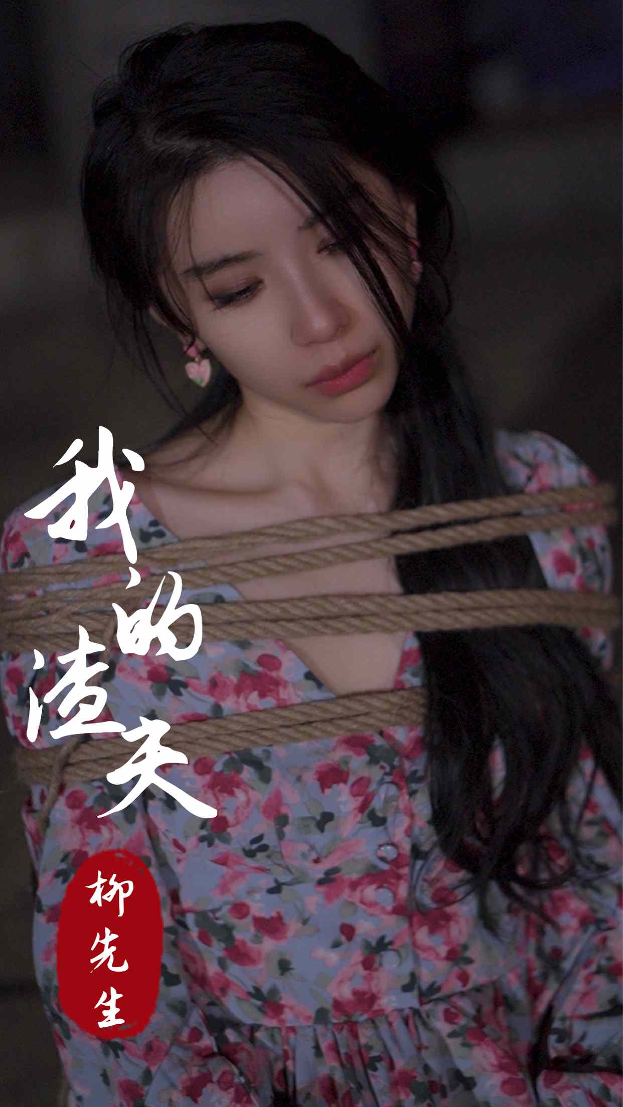 我的渣夫柳先生海报