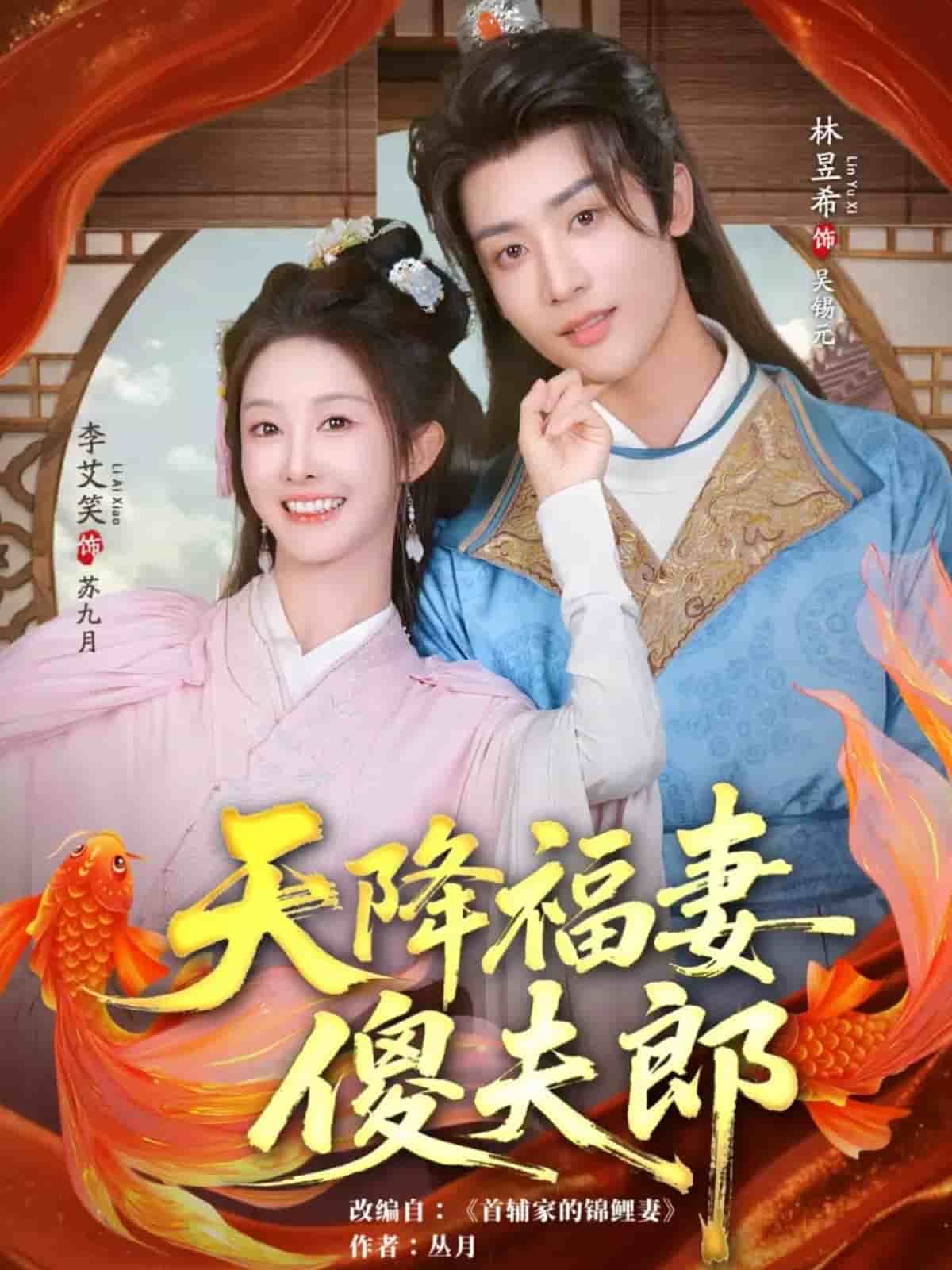 天降福妻傻夫郎海报