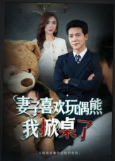 妻子玩偶里的秘密海报