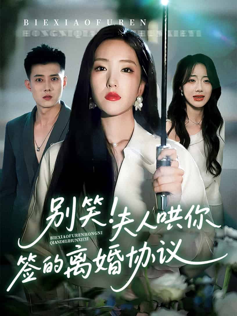 别笑夫人哄你签的离婚协议海报