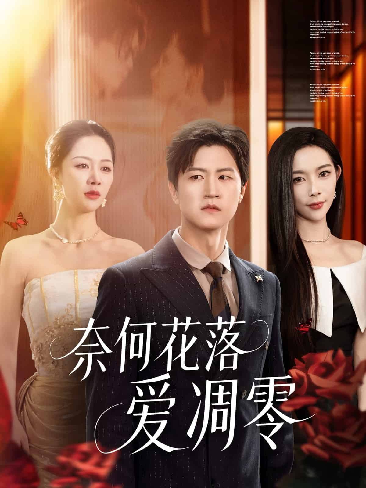奈何花落爱凋零海报