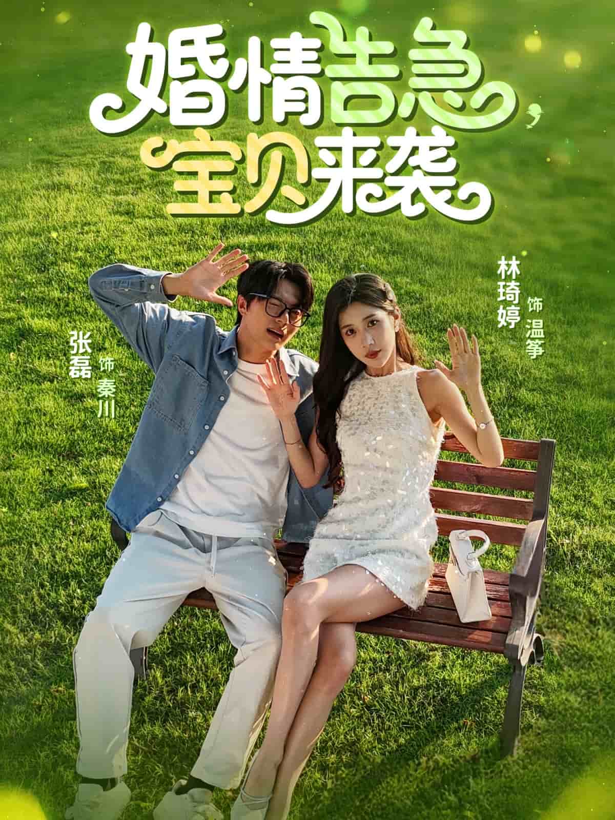 婚情告急宝贝来袭海报