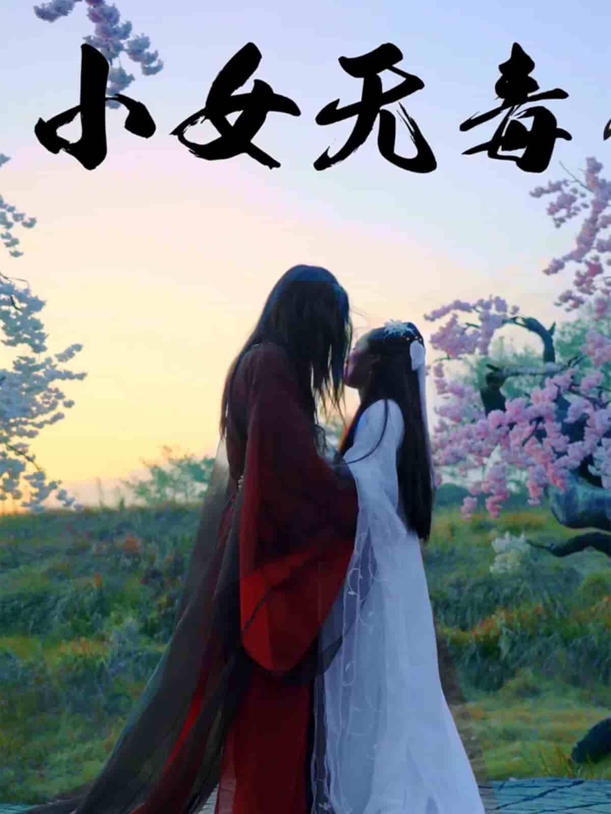 小女无毒海报