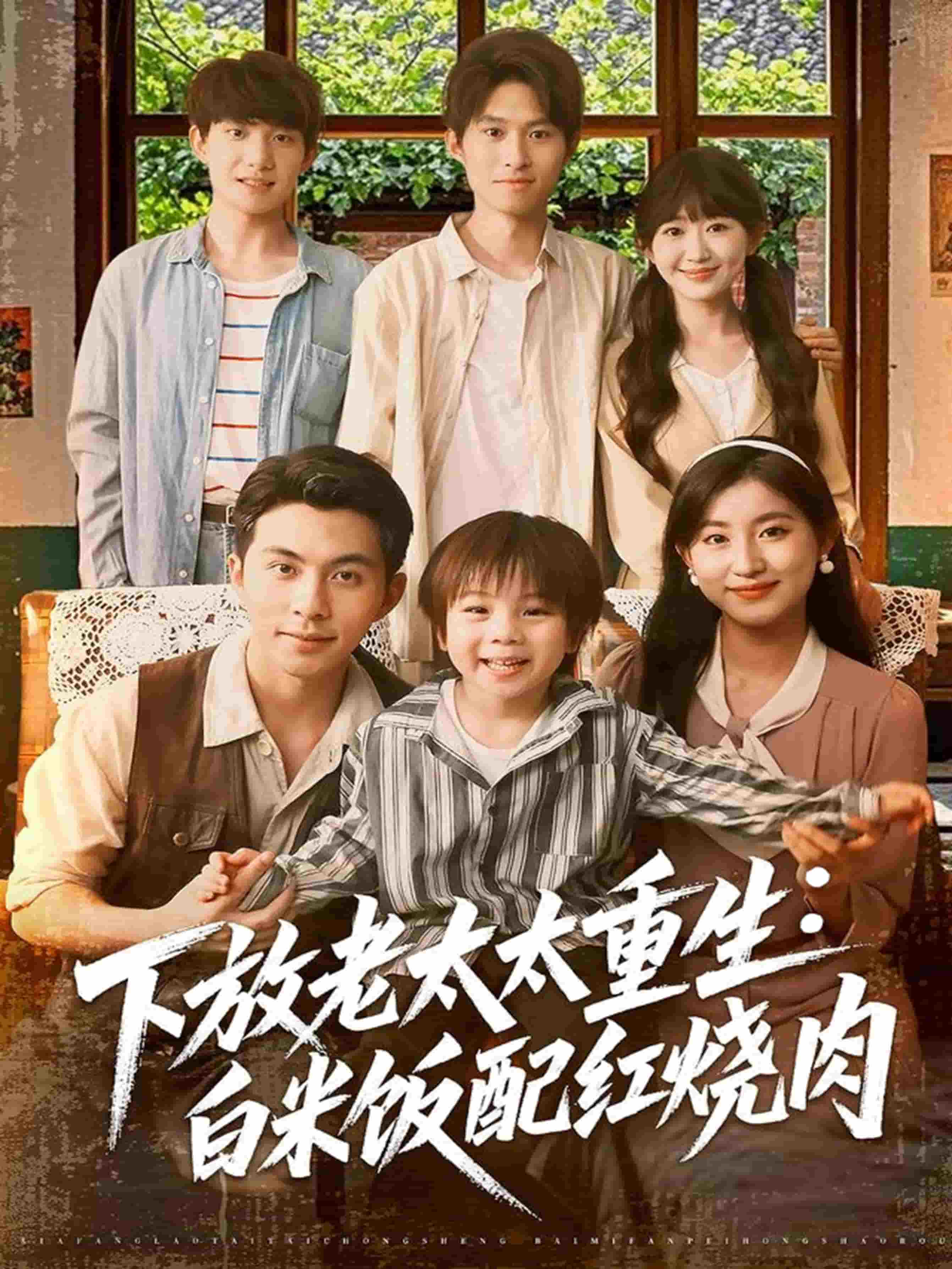 下放老太太重生白米饭配红烧肉海报