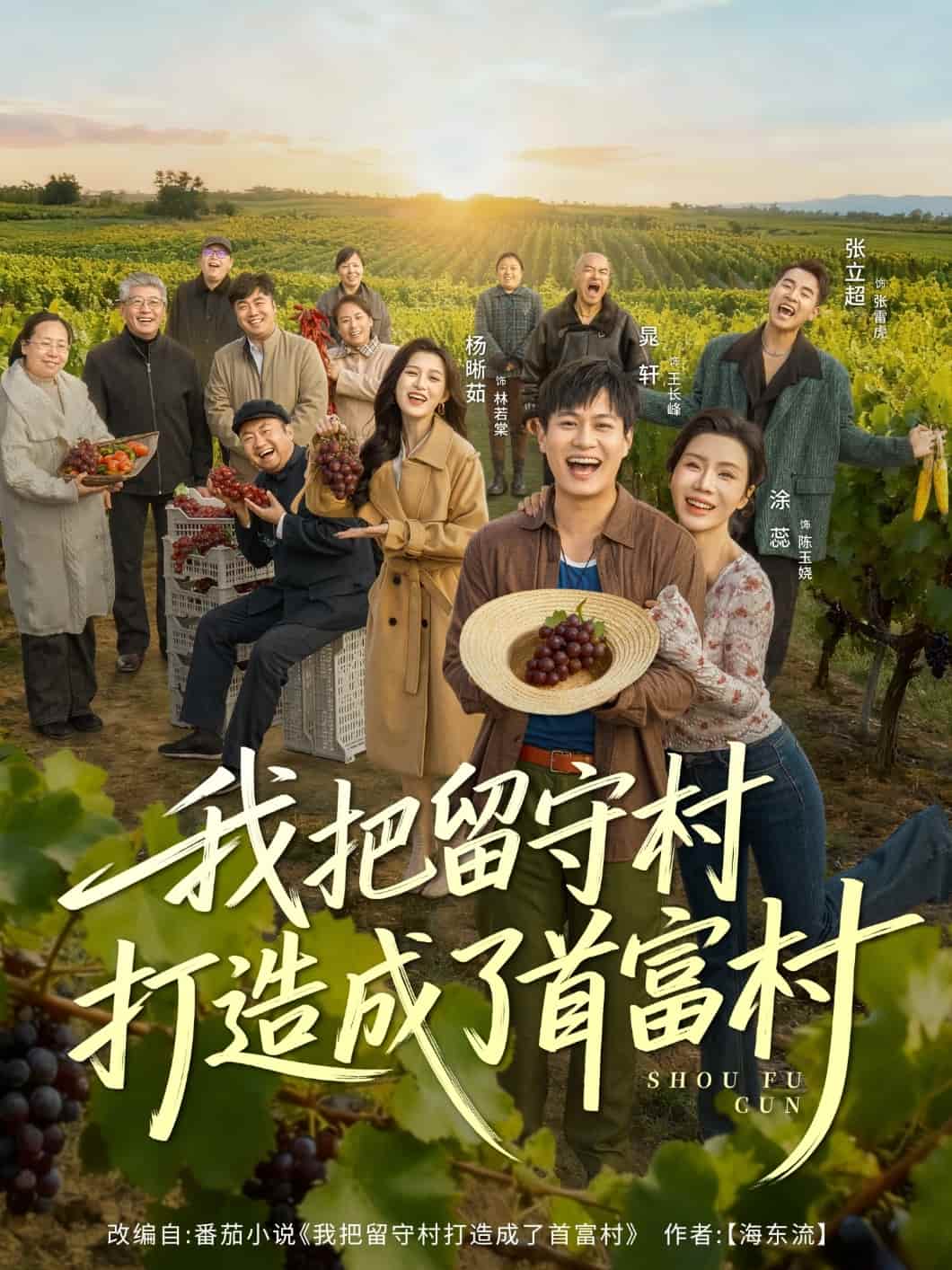 我把留守村打造成了首富村海报