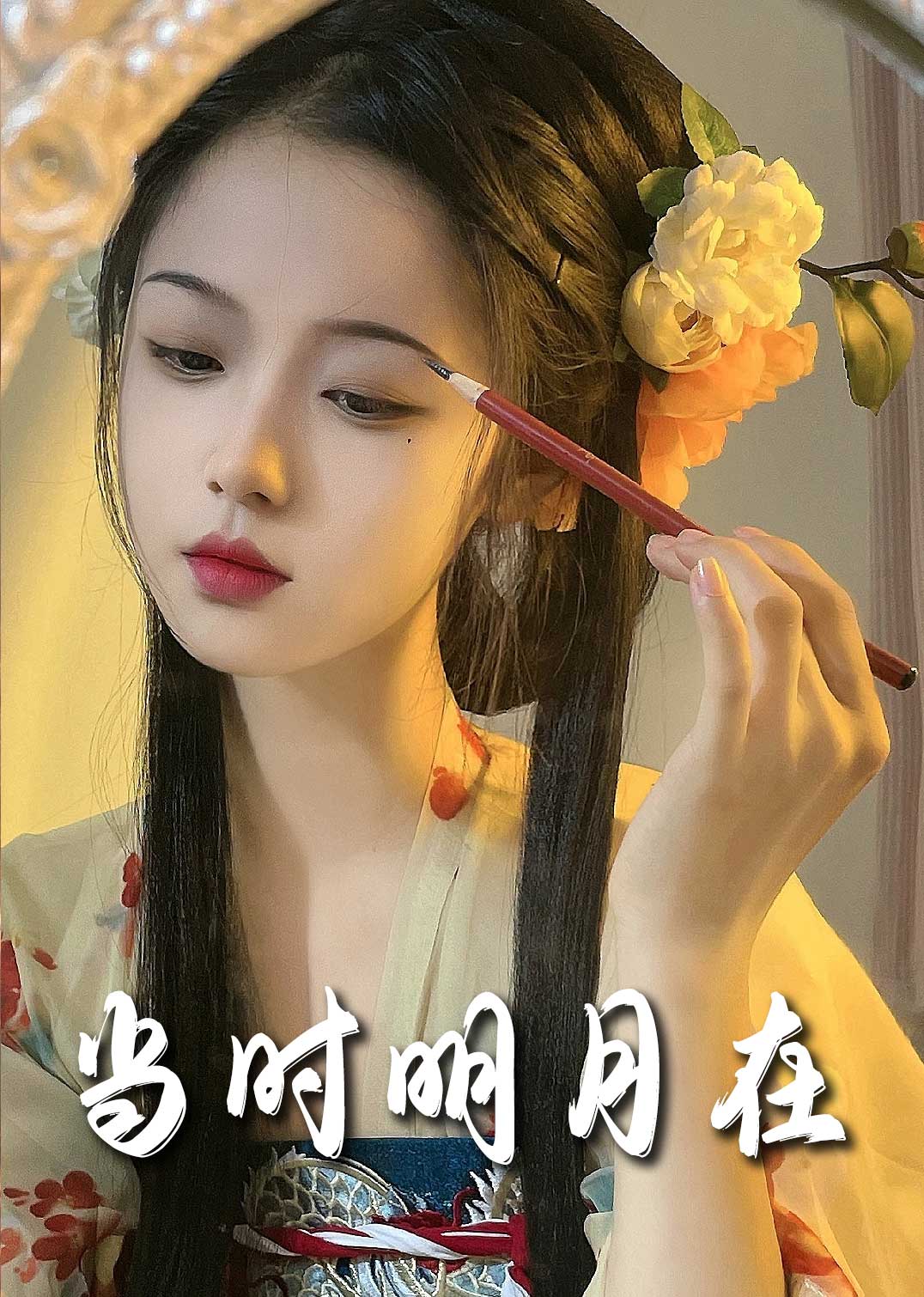 当时明月在海报