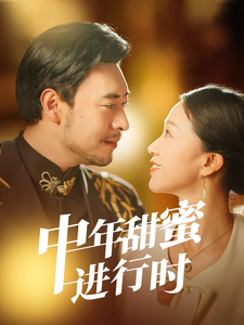 中年甜蜜进行时海报
