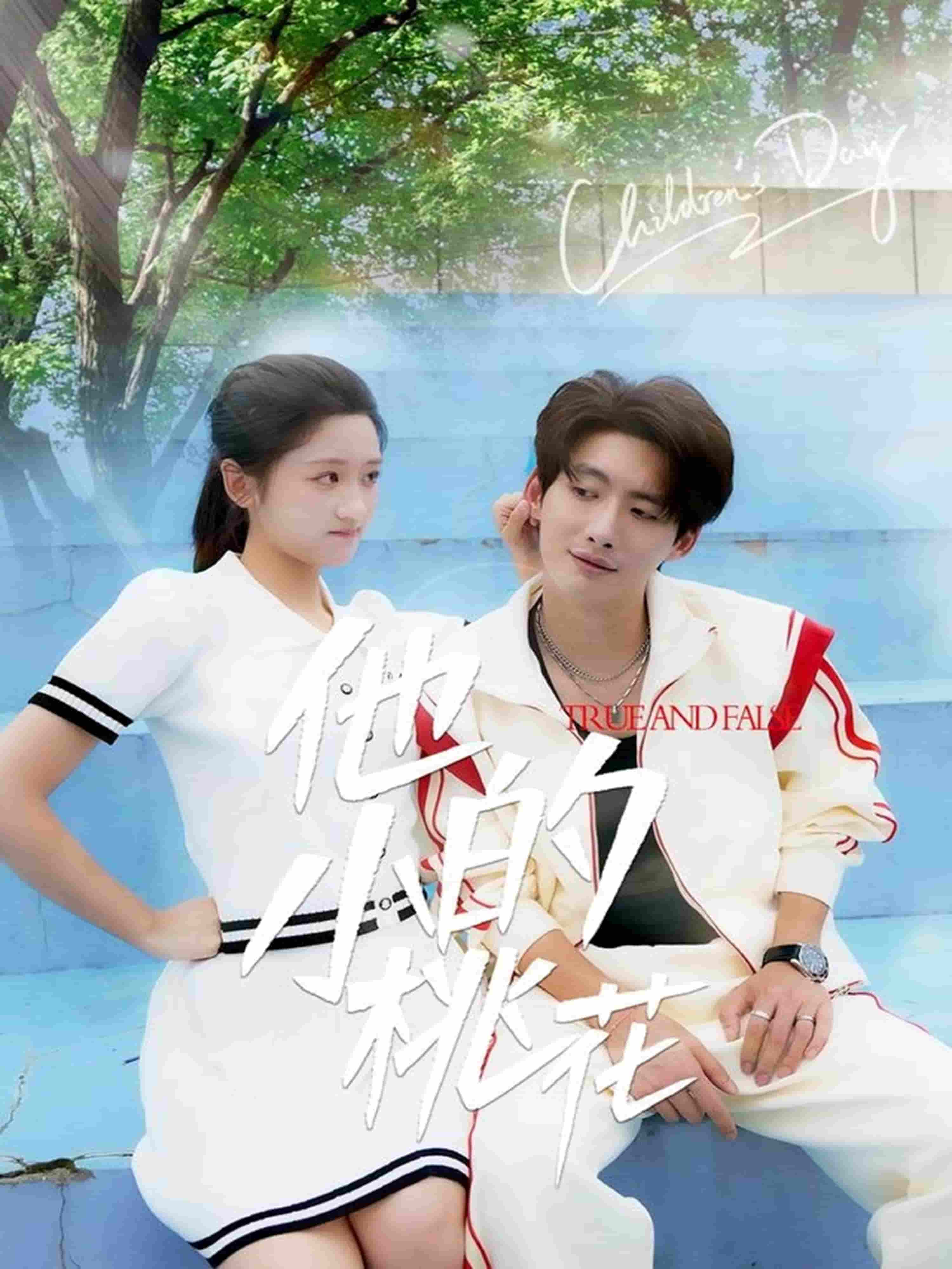 他的小桃花海报