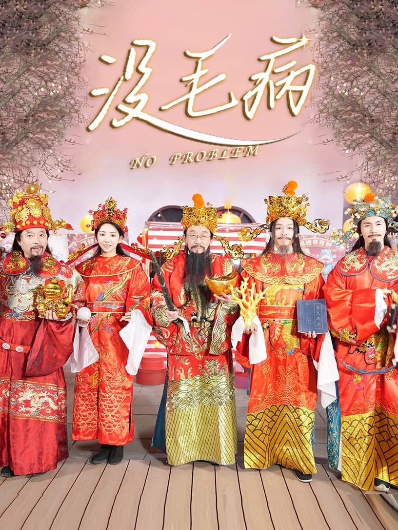 没毛病海报