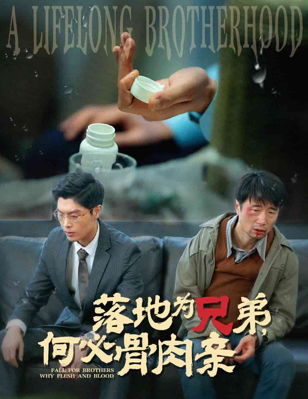 落地为兄弟，何必骨肉亲海报