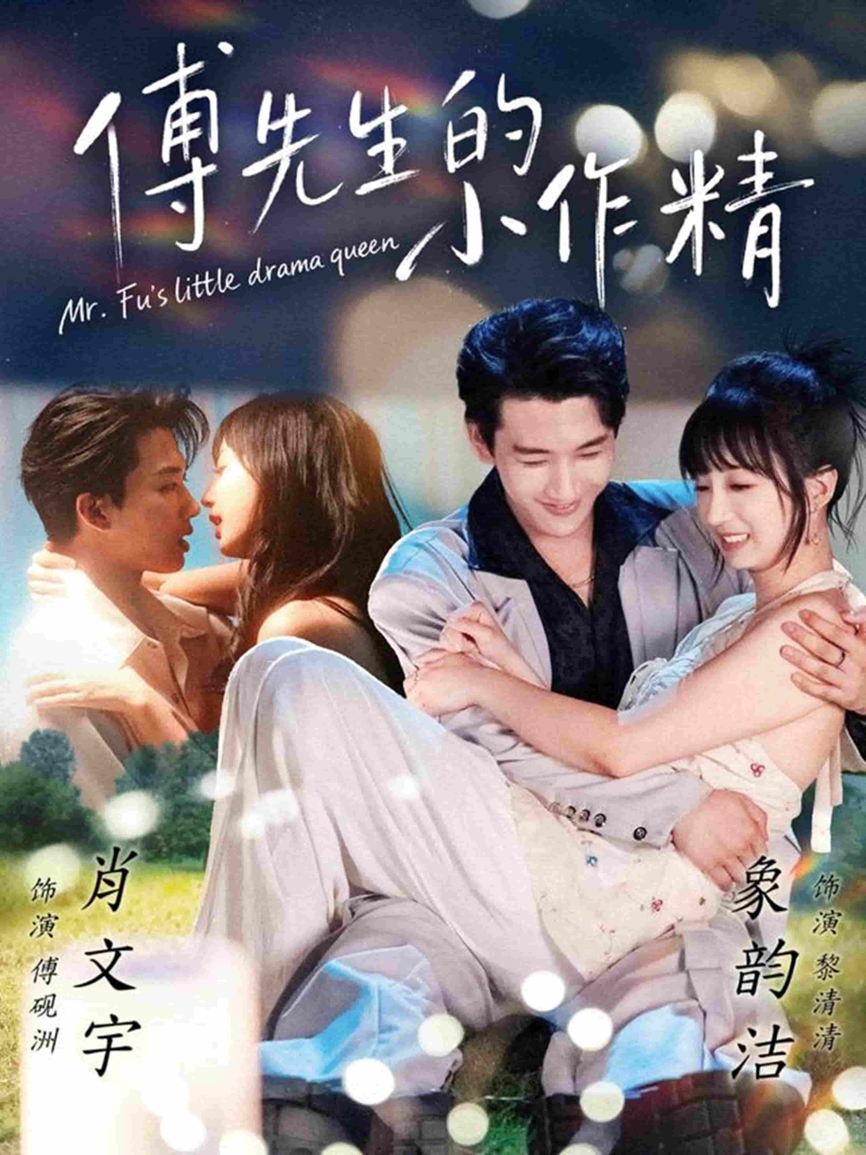 傅先生的小作精海报