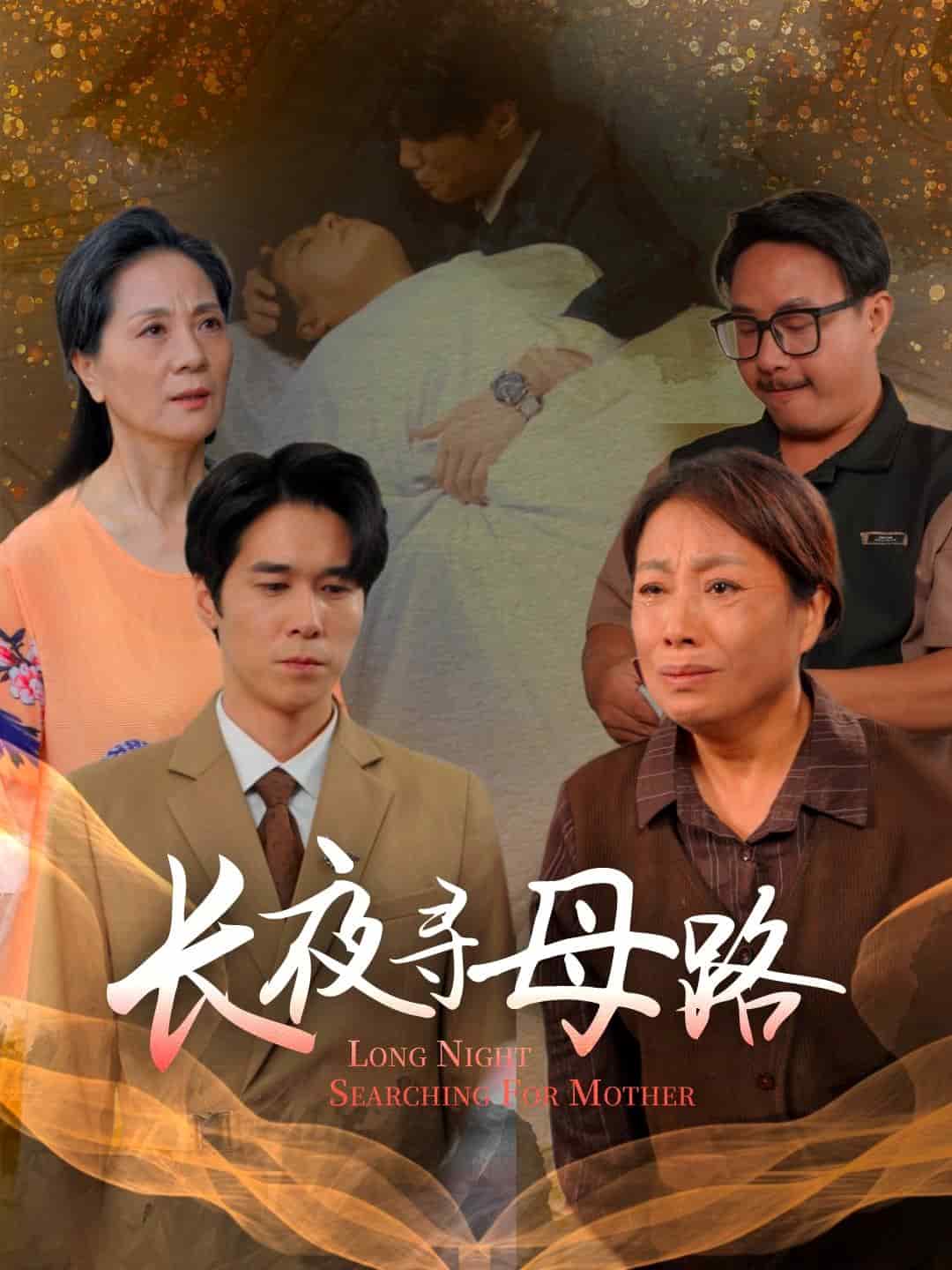长夜寻母路海报