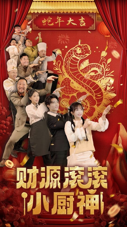 财源滚滚小厨神海报