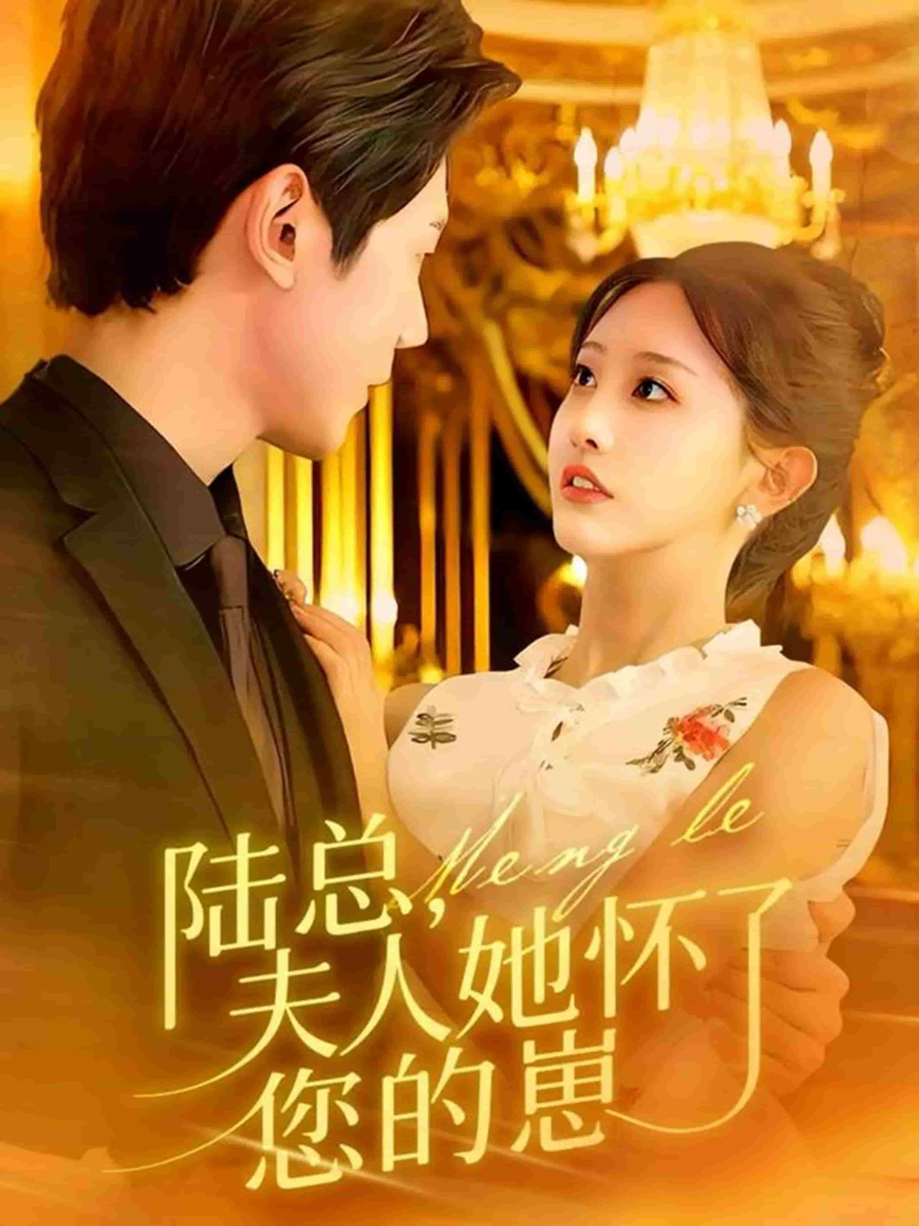 陆总，夫人她怀了您的崽海报