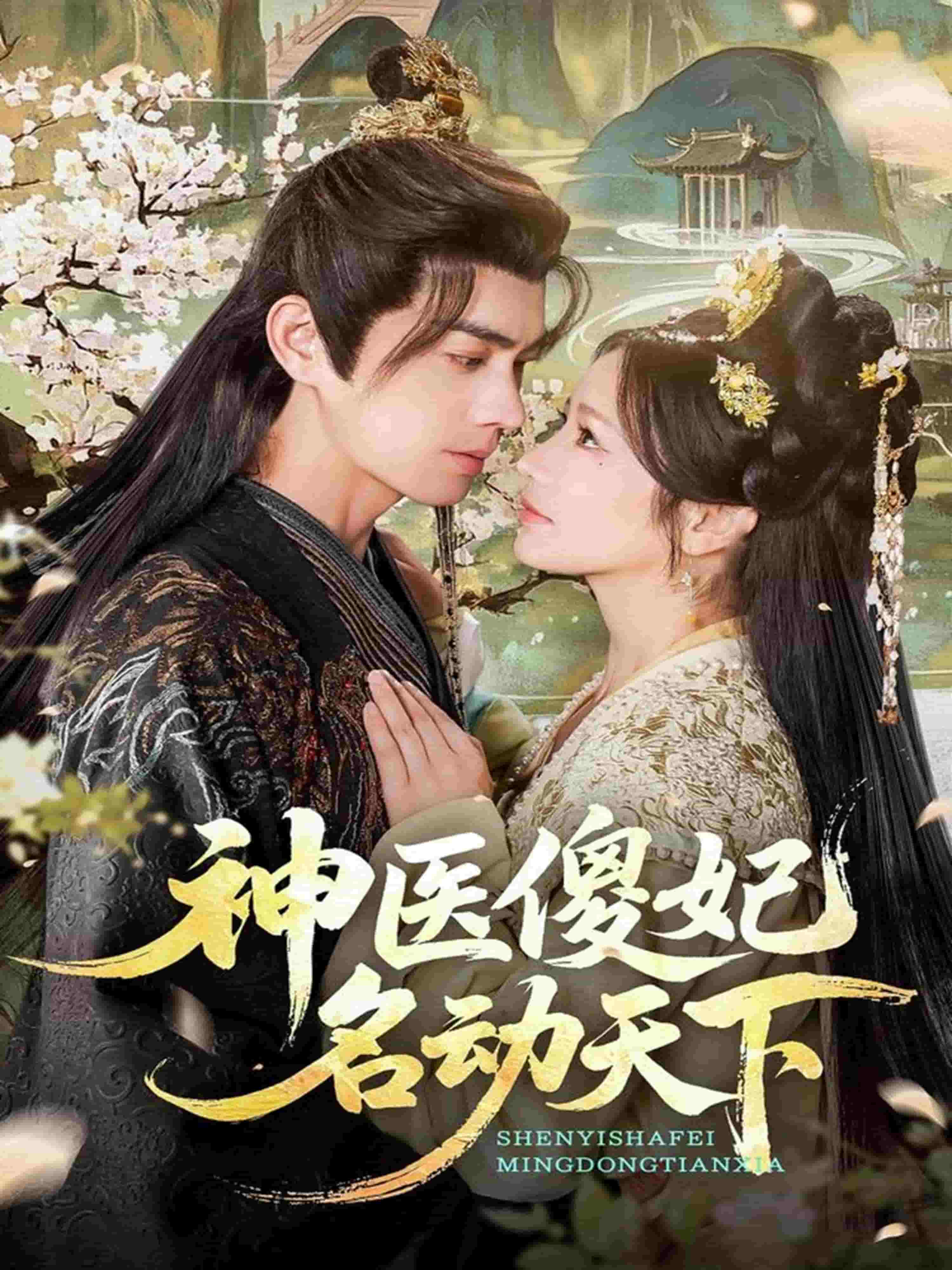 神医傻妃名动天下海报